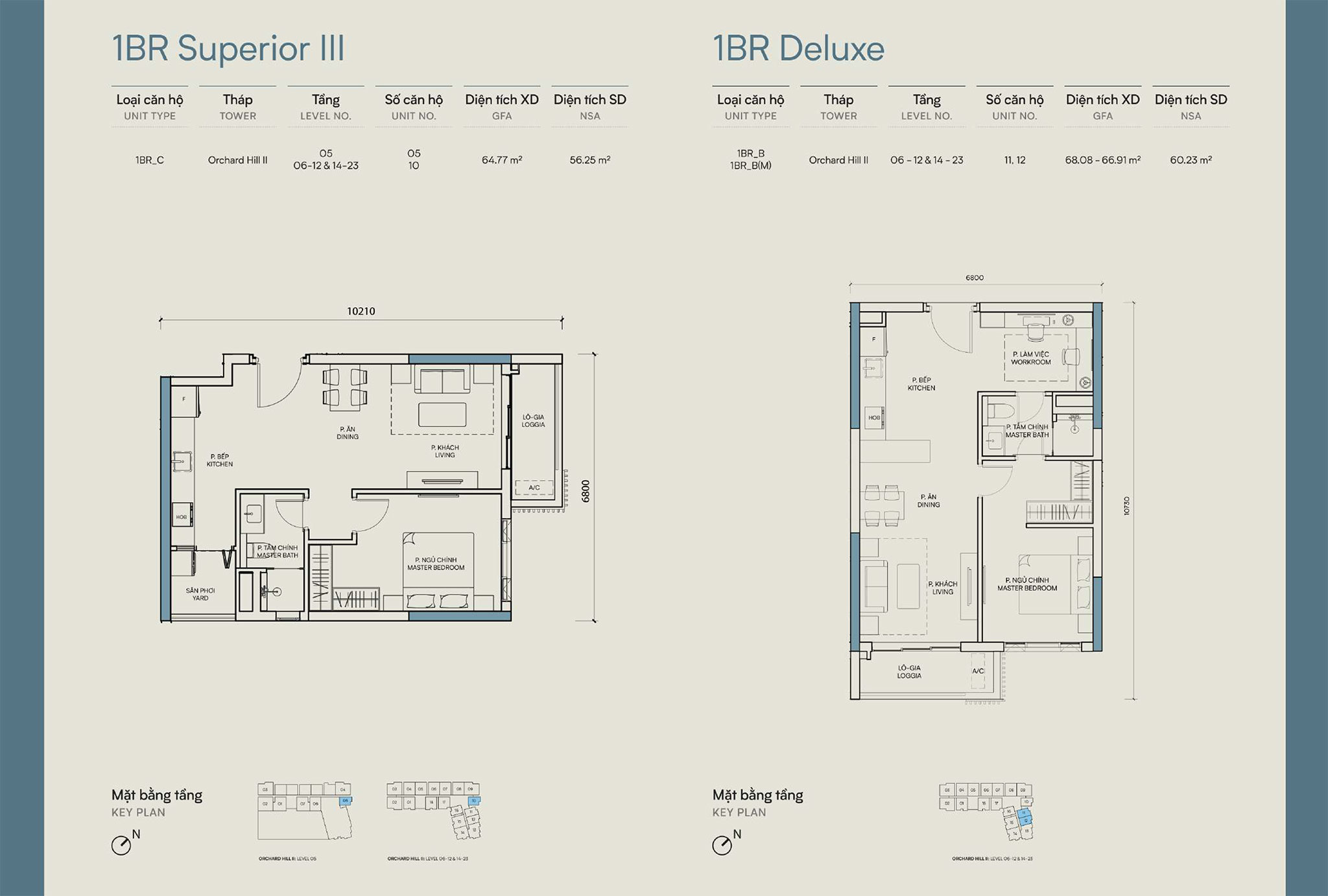 Layout căn hộ 1 phòng ngủ Orchard Hill - Sycamore